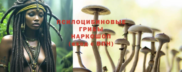 прущие грибы Алексин